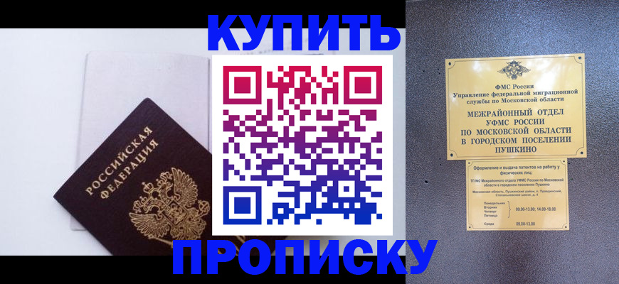 найти адрес прописки в Тынде